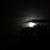Foto: Luna - Shell