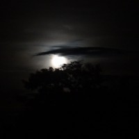 Foto: Luna - Shell