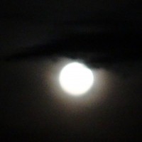 Foto: Luna - Shell
