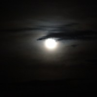 Foto: Luna - Shell