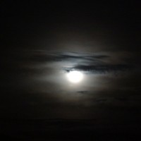 Foto: Luna - Shell