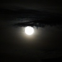 Foto: Luna - Shell