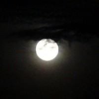 Foto: Luna - Shell