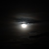 Foto: Luna - Shell