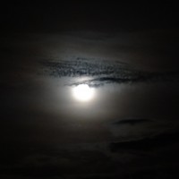 Foto: Luna - Shell