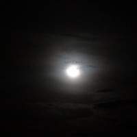 Foto: Luna - Shell