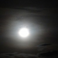 Foto: Luna - Shell