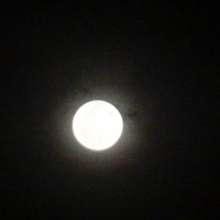 Foto: Luna - Shell