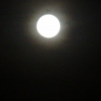 Foto: Luna - Shell