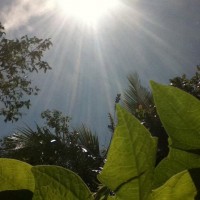 Foto: Homenaje al dios sol - Delicias de Concepcion