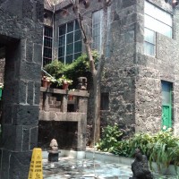 Foto de Coyoacán