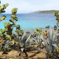 Foto de Charlotte Amalie