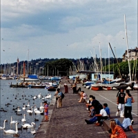 Foto de Ginebra