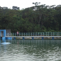 Foto de Mera