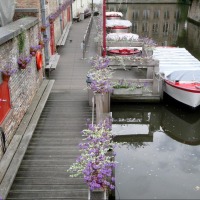 Foto de Brujas