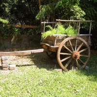 Foto de El Salvador