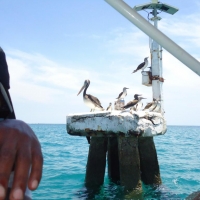 Foto de Salinas