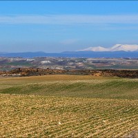 Foto de Almaluez