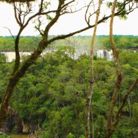 Foto: Cataratas del Iguaçú - Foz do Iguaçú