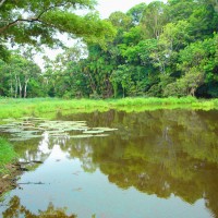 Foto de Manaus