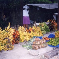 Foto: Fruit! - Villa Tunari