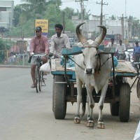 Foto de Chennai