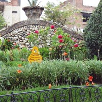 Foto: Jardin - Huancayo
