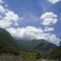 Foto: El verdor. - Bilbao