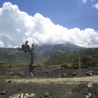 Foto: Los pajaros - Baños