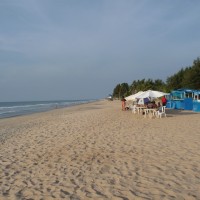 Foto de Kololi Beach