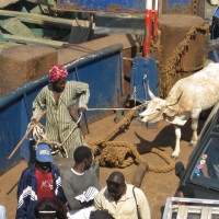 Foto de Ferry Banjul