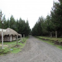 Foto: Entrada al Parque Nacional de Cotopaxi - Cotopaxi