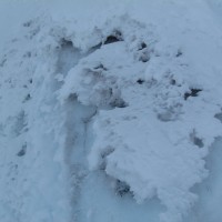 Foto de Cotopaxi
