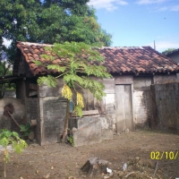 Foto de Ometepe