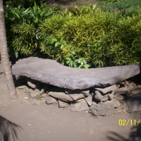 Foto de Ometepe