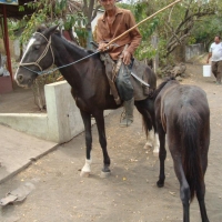 Foto de Rivas