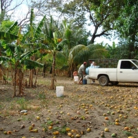 Foto de Rivas