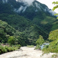 Foto: VITOC - Chanchamayo