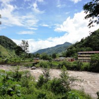 Foto: VITOC - Chanchamayo