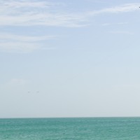 Foto de Isla de Coche
