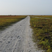 Foto de Isla de Coche
