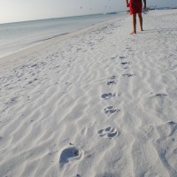 Foto de Isla de Coche