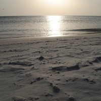Foto de Isla de Coche