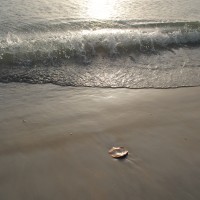 Foto de Isla de Coche
