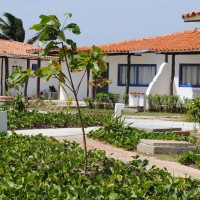 Foto de isla de Coche