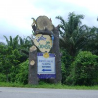 Foto de La Ceiba