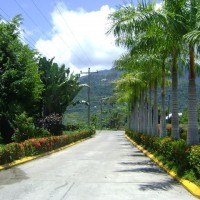 Foto de La Ceiba