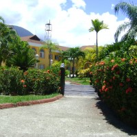 Foto de La Ceiba