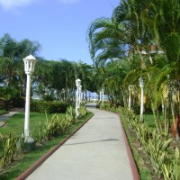 Foto de La Ceiba
