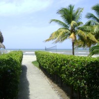 Foto de La Ceiba